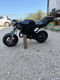minimoto da pista 65cc WT Motors