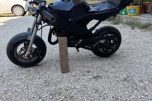 minimoto da pista 65cc WT Motors