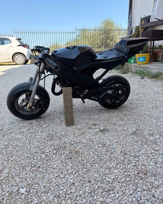 minimoto da pista 65cc WT Motors