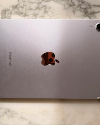 iPad Mini - 256gb - 5g Cellular