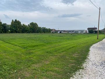 Terreno agricolo da 10500 mq a Isorella bs