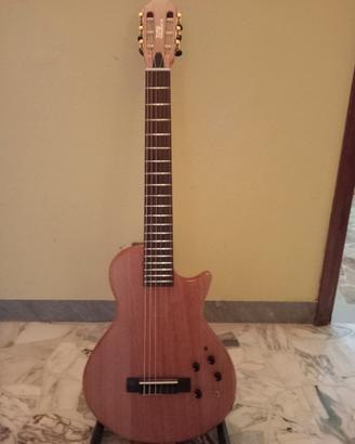 chitarra silenziosa