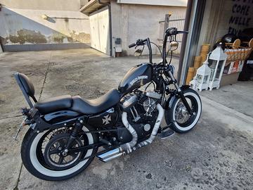 Harley-Davidson Forty Eight customizzata