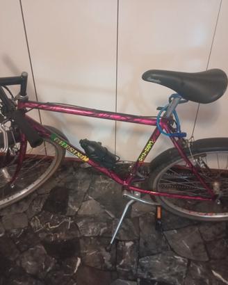 bici  uomo 