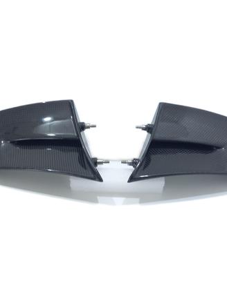 ALI WINGS LATERALI CARBONIO DUCATI PANIGALE V4 MY 