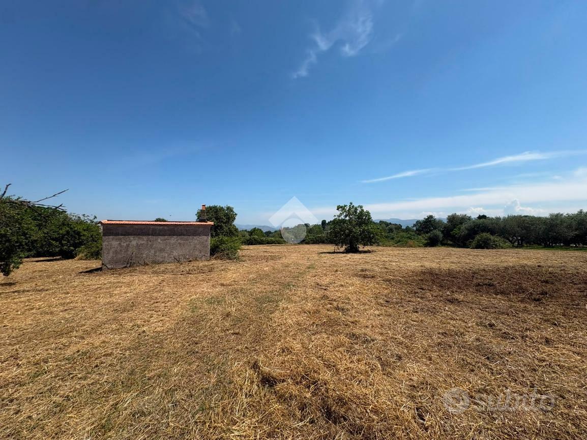 TER. AGRICOLO A MONTE COMPATRI - Vista 2