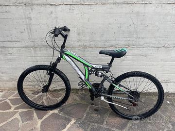 Bicicletta