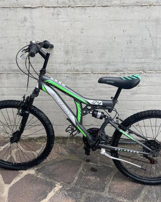 Bicicletta