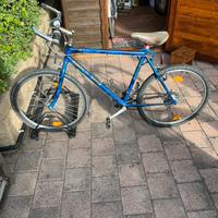 Mountain bike uomo
