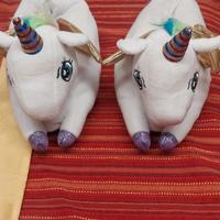 Stivaletti 34 e pantofole 35