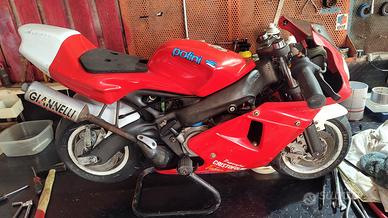 MINIMOTO CRC