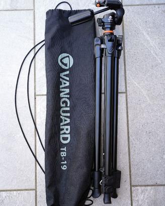 Kit Vanguard Alta CA 203APH Testa con Treppiede