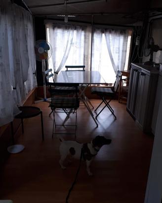 veicolo roulotte 