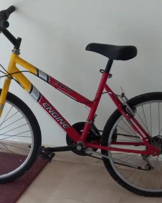 bicicletta mountain bike