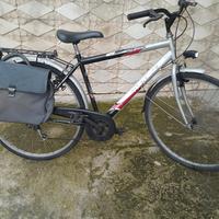 bicicletta 28