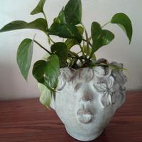 Vaso artistico con design floreale 