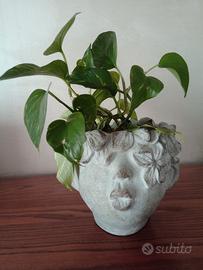 Vaso artistico con design floreale 