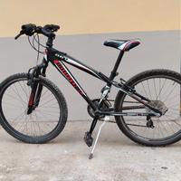 bicicletta ruota 20 bottecchia