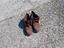 Immagine 4