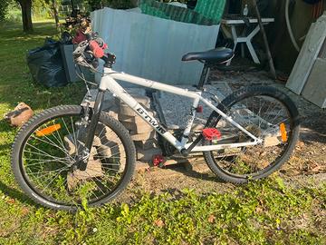 Bici da ragazzo