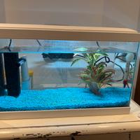 Acquario 17 litri