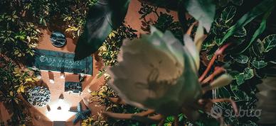 Relax e comodità in centro a Marina di Camerota