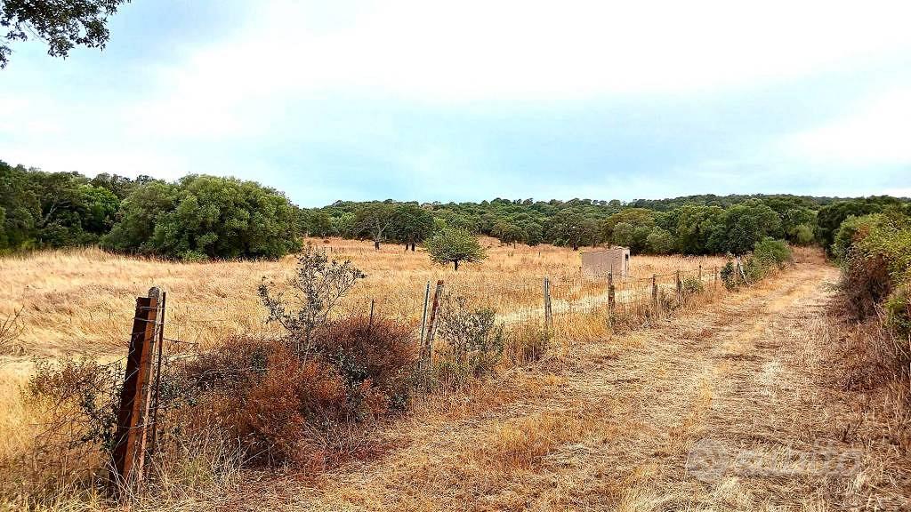 Terreno di 240000 m² a Monti - Vista 2