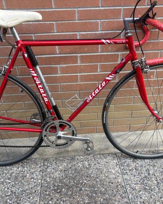 Bicicletta da corsa