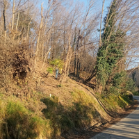 Terreno agricolo a uso bosco