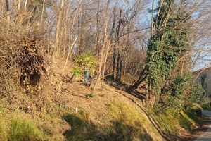 Terreno agricolo a uso bosco