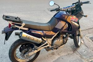 Kawasaki KLE 500, trattabile iscritta ASI
