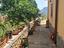 Immagine 17