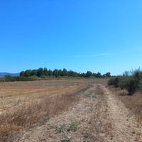 Villamassargia - Terreno Agricolo mq. 7415