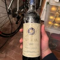 Sassicaia 2022