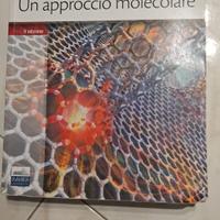 Chimica un approccio molecolare 
