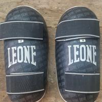 paratibie leone
