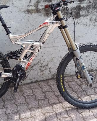 Bici da dh