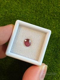 Rubino naturale 0.87 ct taglio ovale