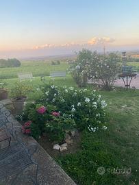 Splendida casa di campagna con giardino