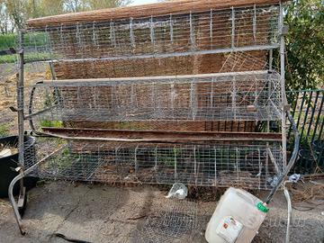 gabbia per conigli 