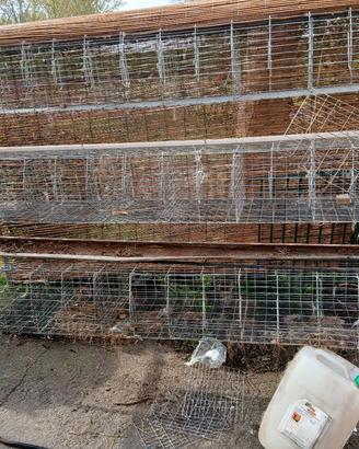gabbia per conigli 