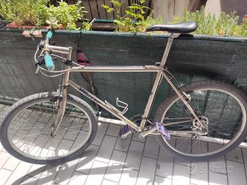 MTB Moser acciaio 