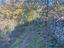 Immagine 25