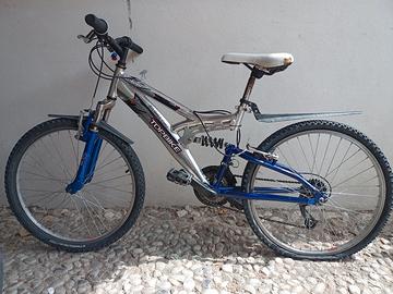bicicletta da ragazzo 
