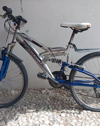 bicicletta da ragazzo 