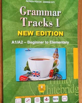 Libro usato: "Grammar Tracks 1 new edition"