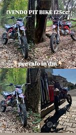 pit bike 125cc seminuova