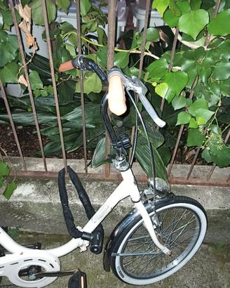 Bici alpina (simil Graziella)