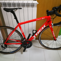 Trek carbonio top gamma