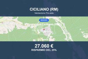Immobile in asta di 102 m² a Ciciliano